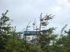PA012991.JPG (477570 bytes)